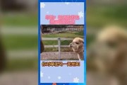吃瓜群众娱乐版下载安装